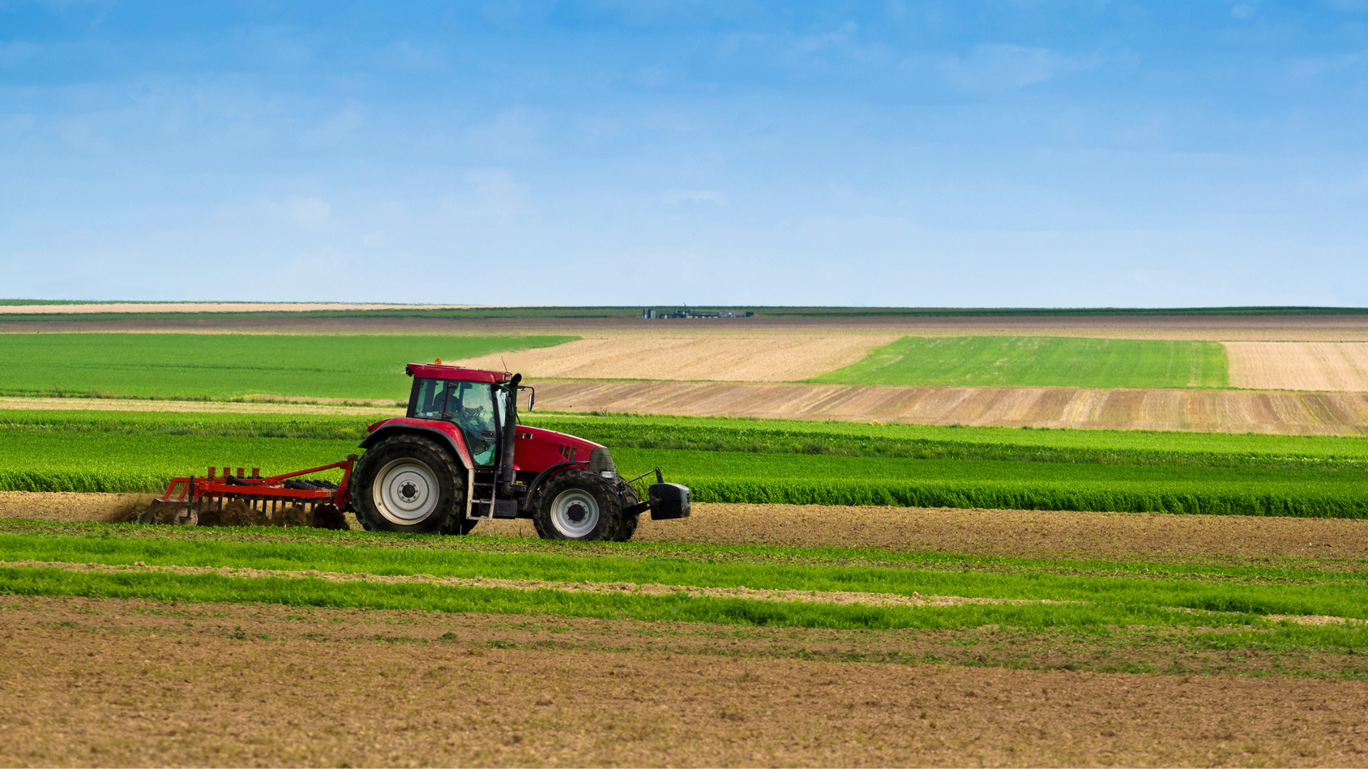 Apoio de 50% a empresas agrícolas afetadas por cheias​